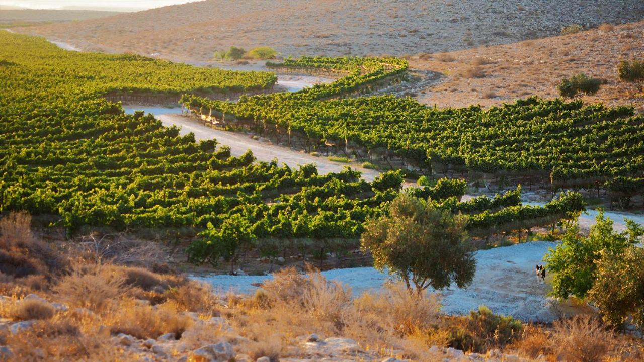 Carmey Avdat Farm Midreshet Ben Gurion Exterior photo