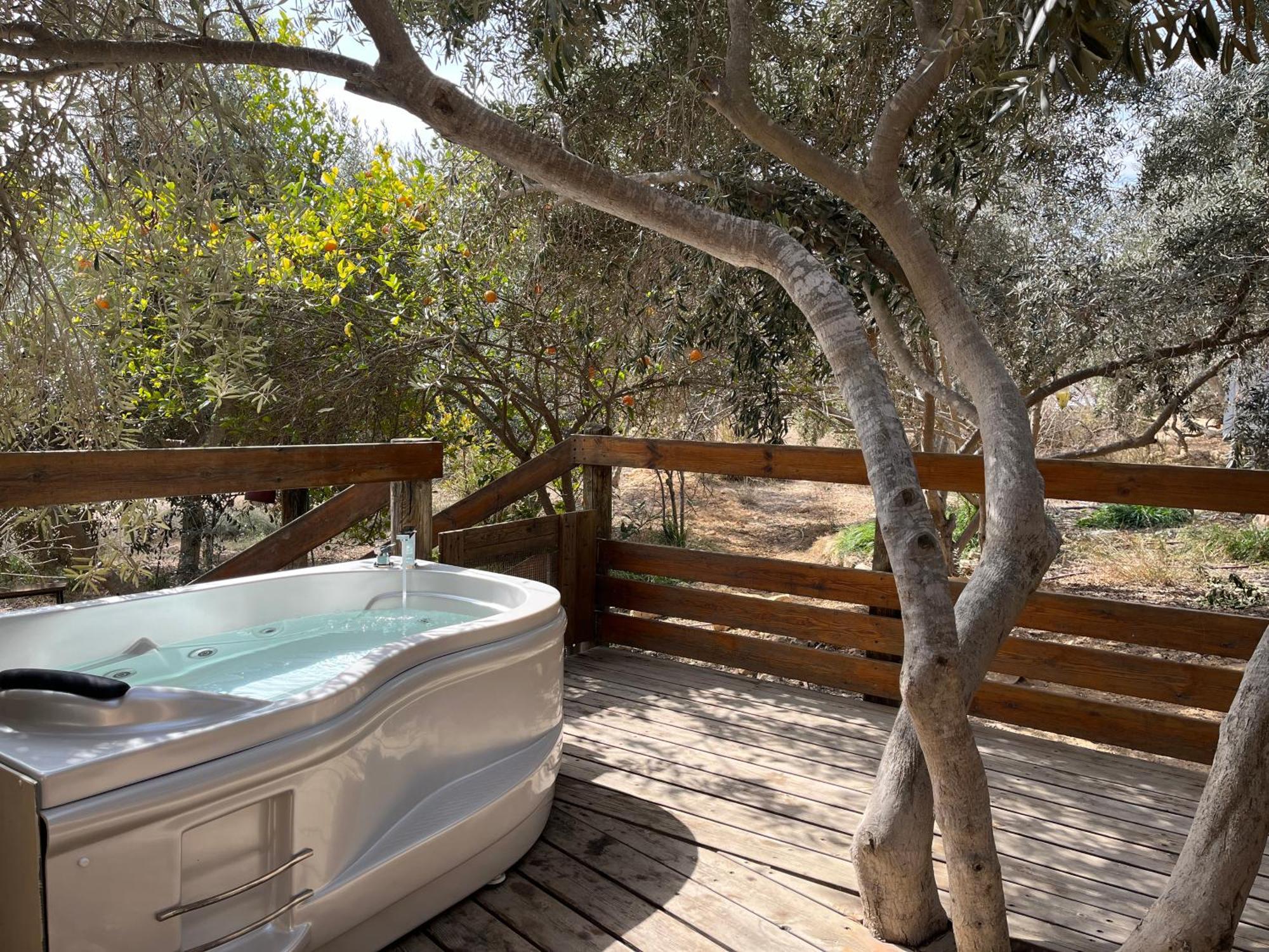 Carmey Avdat Farm Midreshet Ben Gurion Exterior photo